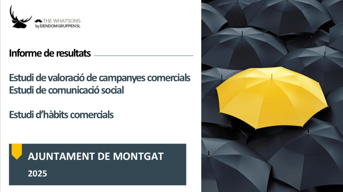 Estudis de “The Whatsons” 2025